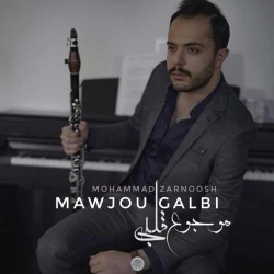 دانلود آهنگ موجوع قلبی از محمد زرنوش  با متن ترانه