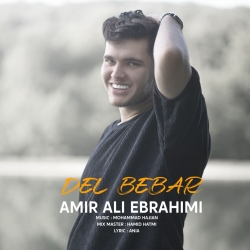 دانلود آهنگ دل ببر از امیر علی ابراهیمی  با متن ترانه
