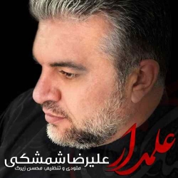 دانلود آهنگ علمدار از علیرضا شمشکی  با متن ترانه